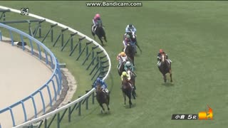 キャンディード　2歳新馬