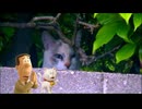 抜け道の穴の中の猫とアナゴさん