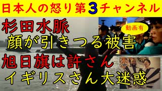 【杉田水脈】しばき隊の暴虐で杉田水脈の顔が引きつる【旭日旗】イギリスプレミアリーグが韓国旭日旗ハンターから攻撃