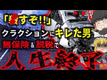 『非接触事故でも被害認定』煽り運転で焦った車 信号無視で事故起こすも無罪 煽った側には約4600万円の損害賠償請求…画期的な判決とは【ゆっくり解説】