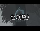 初見実況【ELDEN RING】貧弱主人公が王となる冒険　パート14