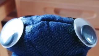 障害