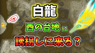 マップ外までも白龍はリンクを誘拐しに来るのか？(ver1.0.0)【ティアキン TotK】裏技 バグ 検証 ゆっくり実況 glitch