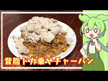 【デブ活】背脂ドカ乗せチャーハン【VOICEVOX】