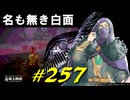 NPCやボスを振り返ったりたまたまモーグウィン王朝に来ちゃったり名も無き白面と戯れたりします【初見】エルデンリング実況／盗賊王物語【オフライン】#257