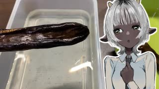 「イナゴ豆」
