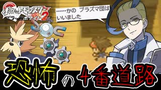 失ったポケモンは二度と戻らない。【BW2】#12
