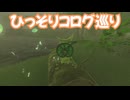 ゼルダの伝説　ティアーズ オブ ザ キングダム　実況プレイおまけその14