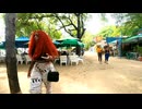 ソスア _ ドミニカ共和国 - ビーチエリア Sosua - Dominican Republic - beach area