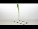 野菜にコードがついていたらどうやって片付けるか