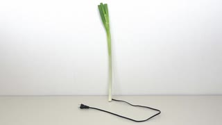 野菜にコードがついていたらどうやって片付けるか