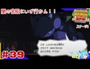 ターン制アクションならアクション出来るはず！＃39【ペーパーマリオ RPG】