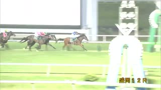 第18回サファイア賞 サンカリプソ