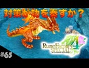 【初見実況】仲良くなったキャラのドット絵を描くルーンファクトリー4SP #65 よく見たらフレクゲンガー戦&色々釣り大会！