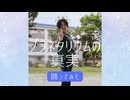 【からん】プラネタリウムの真実【踊ってみた】