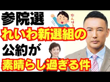 【朗報】参院選、れいわ新選組の公約が素晴らしすぎるので解説します/山本太郎/消費税/財務省/自民党/国民民主/参政党/大石あきこ