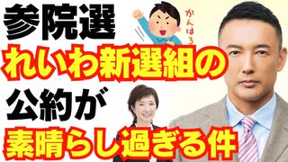 【朗報】参院選、れいわ新選組の公約が素晴らしすぎるので解説します/山本太郎/消費税/財務省/自民党/国民民主/参政党/大石あきこ
