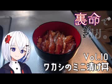 裏命で釣り。Vol.10「ワカシのミニ漬け丼」