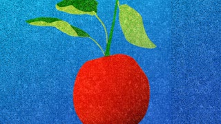 VIVARIUM【オリジナル曲】