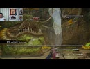 FF13-1007
