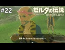 すべて(家具)を手に入れた男リンク【ゼルダの伝説 ブレス オブ ザ ワイルドのんびり実況】#22