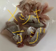 さかな　メッキ　アジ　刺身　料理　作ってみた