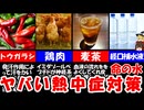 【ゆっくり解説】2025年度の熱中症対策について解説します