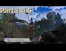 【ファイアーエムブレム無双】【リョナ】【カミラ】 ３０秒リョナPart１４５
