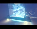 【VRChatワールド紹介】Glowing Jellyfish