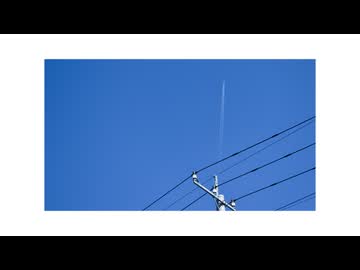 Scent of Summer - pilgrim