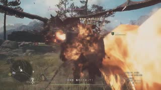【DRAGONS DOGMA 2】再び覚者生活　48Day【前編】