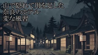 【洒落怖ゆっくり朗読】「山で隠れて用を足した」「奈良のホテル」「変な風習」
