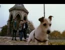 Morrissey - Sunny