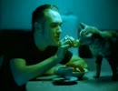 Morrissey - Alma Matters