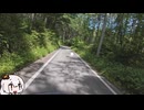 山梨林道めぐり　じゅうご　～井富線～