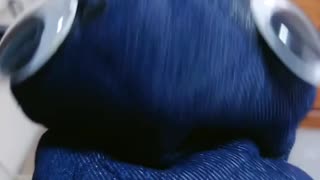 歳を重ねる