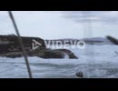 Winter rocky sea coast in high wind and big waves