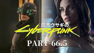 田舎ウサギのサイバーパンク２０７７ PART-66.5