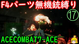 【エスコン7-ACE】F4パーツ無し機銃縛り　その17