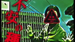 オ チ ョ 本 さ ん…  ┗((i)φ(i))┓三