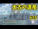 【Tales of Vesperia DE】世界を巡る...大切なものを見付ける為に_Part75【実況】
