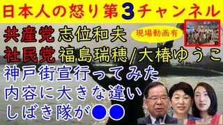 【共産党・社民党】志位和夫・福島瑞穂・大椿ゆうこ　神戸街宣を全部聴いてきた「しばき隊の動きが●●」