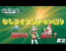 【ポケモン　エメラルド】　ポケモン最強の虫タイプで打倒ダイゴ！！　とらごろうの一人旅　part2