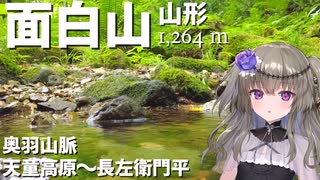 【日帰り登山】面白山／天童高原ルート【VOICEVOX登山】