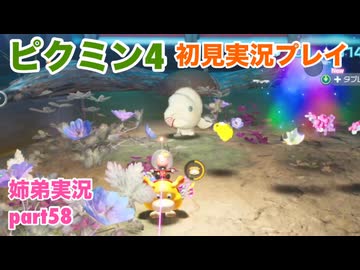 □■ピクミン4を初見実況プレイ part58【姉弟実況】