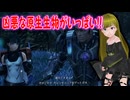 ぬっこがゼノブレイドクロスDEをプレイ！ その13 ～残クエ消化と第5章への準備～