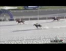 2025年7月8日門別競馬7R ＪＲＡ認定ターフチャレンジ１ バレンタインケーキ