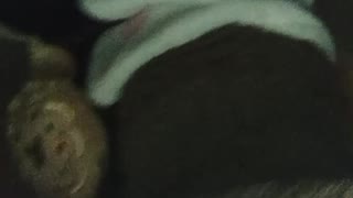 SAENSさん