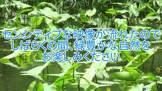 本日の福引記録18