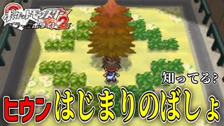 失ったポケモンは二度と戻らない。【BW2】#13